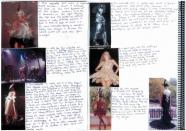 Whs megan wearable arts 0008 1211