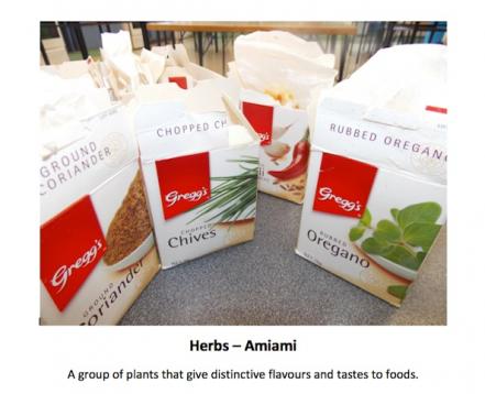 Herbs – Amiami