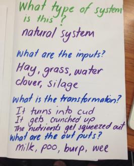 Big book page, Natural system