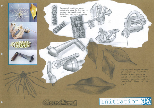 Photos and sketches of leaves and sticks