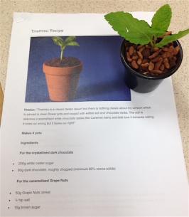 Tiramisu recipe and first trial outcome