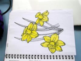 Sketch.