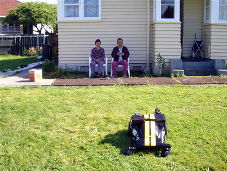 Kevin's lawnmower in action.