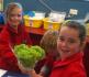 Tech systems for year 3–4 students: Hydroponics