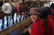 Students visiting the milking shed