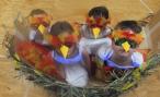 A full nest of new new entrants in costume