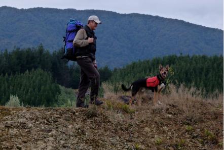 Dogs outdoor carry bag - final product on hilltop